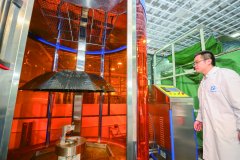 靠本身“单打独斗”并不克不及